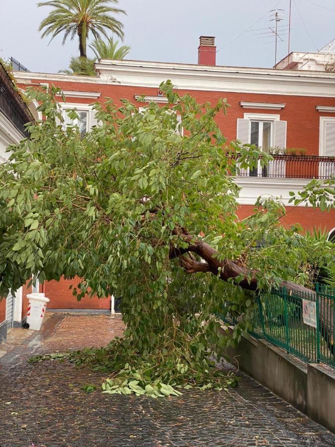 B-Montedidio Hotell Napoli Eksteriør bilde
